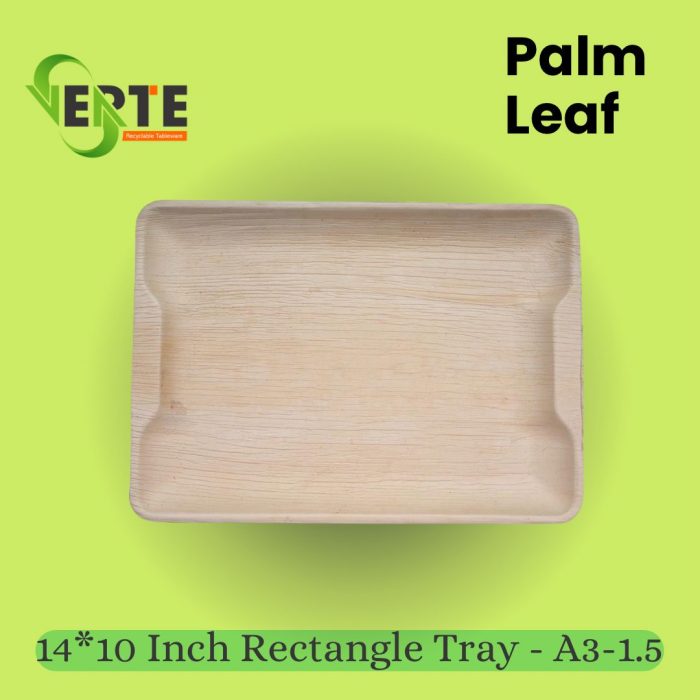 14X10 inch Rectangle Tray